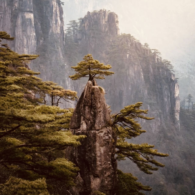 Huangshan (Yellow Mountain): China's Most Majestic Peaks
