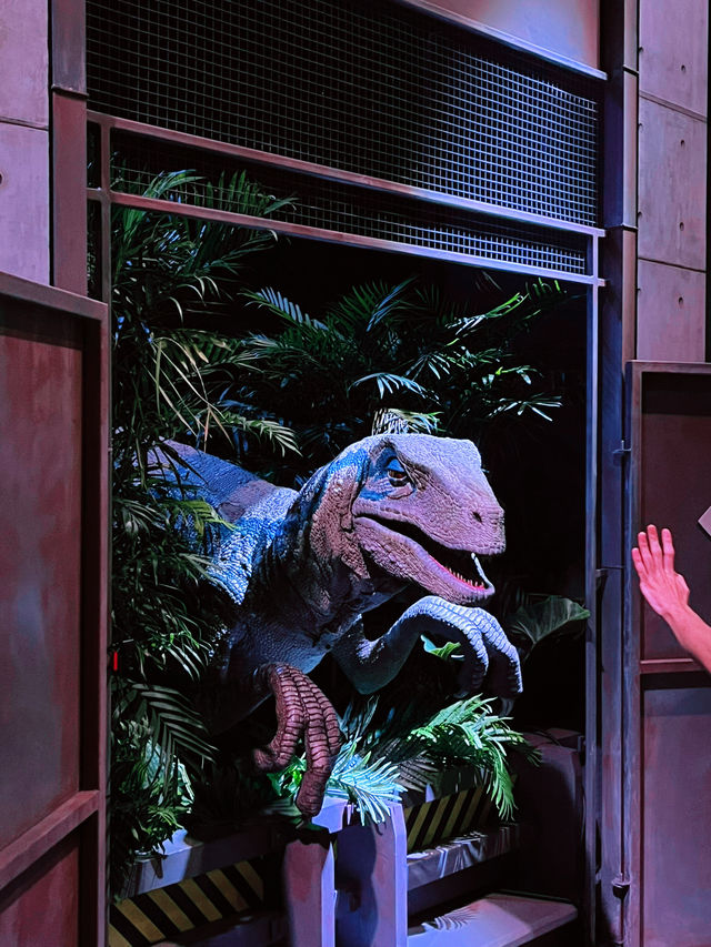 Meet the Raptors: Thrilling Encounter with Echo, Charlie, and Delta at Jurassic World SG