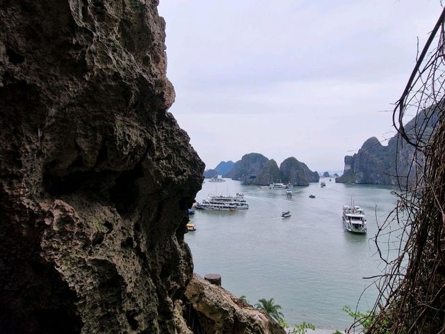Vietnam Adventure