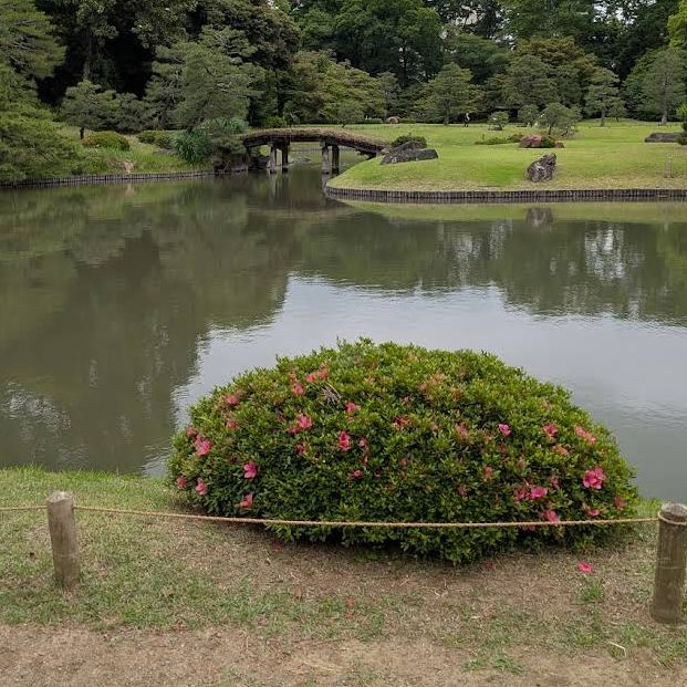 【東京/駒込🇯🇵】四季折々の幽玄なる美の世界✨六義園