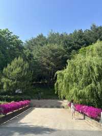 푸르름이 머무르는 길, 청주 수목원 추천 🌸🌼