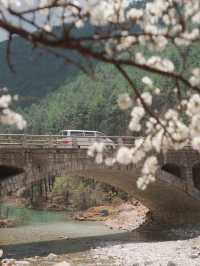 Springtime Magic in Li Jiang – A Dreamy April Escape