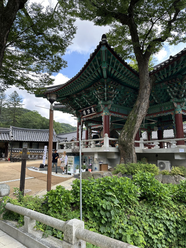 세계문화유산 천년고찰 <마곡사> 에서 역사를 느껴보세요. 
