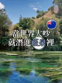 📍紐西蘭北島。Putaruru Blue Springs｜藍得像夢的一條河