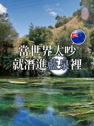 📍뉴질랜드 북섬. 푸타루루 블루 스프링스 | 꿈처럼 푸른 강