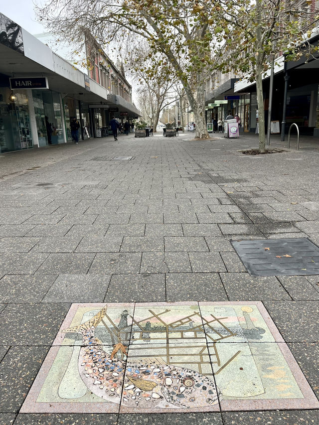 Timeless Beauty- Fremantle Street 