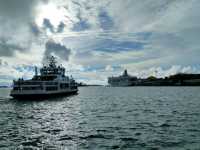 Discovering the Buzz of Kauppatori