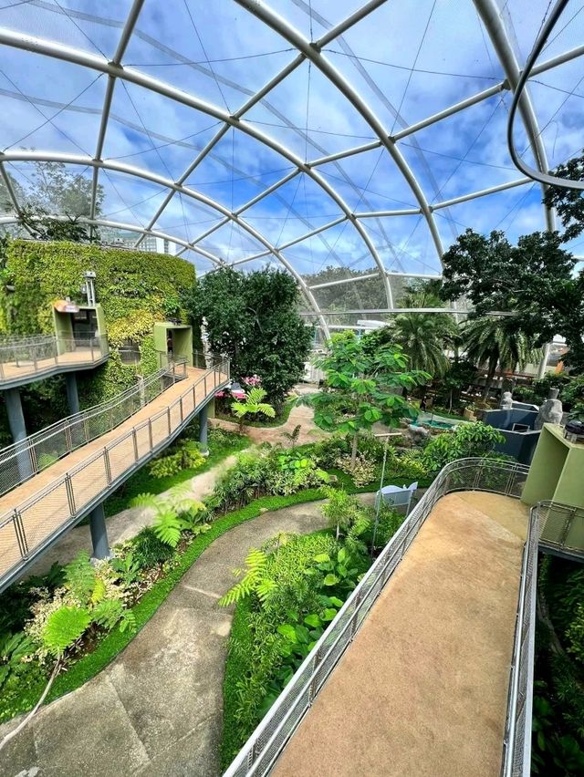 Urban Jungle: Exploring the Philippine Biodome