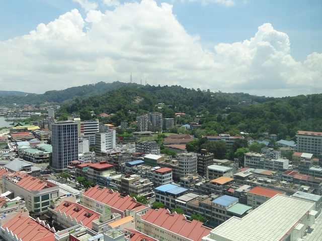 The Port of Pathos and the Rainforest of Hope