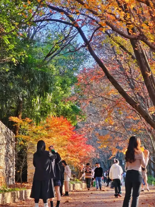 Kunming Botanical Garden: Yunnan’s Living Library of Green Wonders