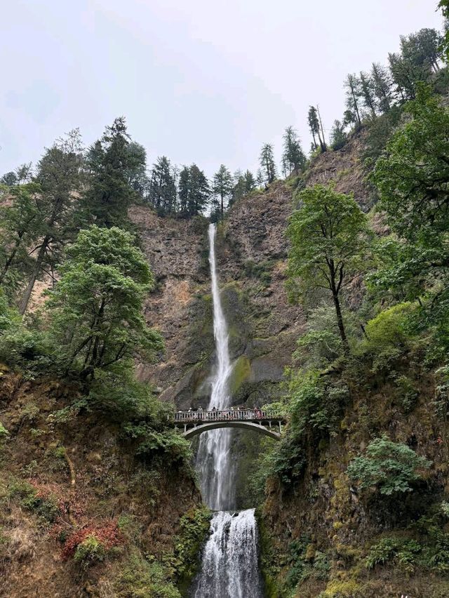 Multnomah Falls (OR)
