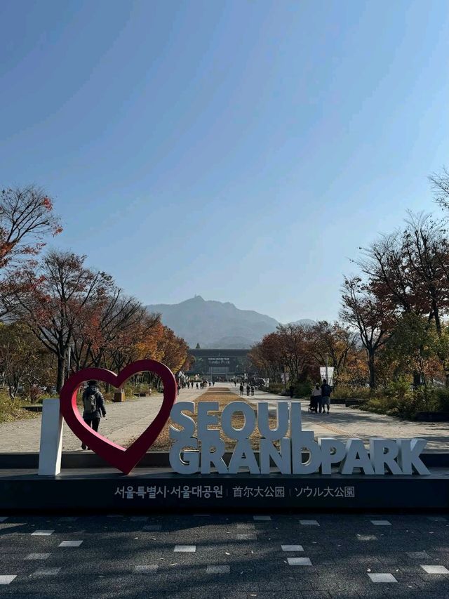 sprawling oasis of nature and culture nestled in Gwacheon, just outside the bustling heart of Seoul