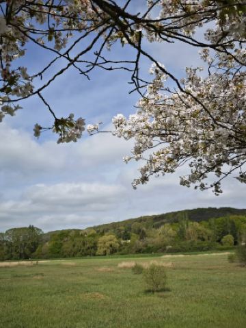 Gif-sur-Yvette – Île-de-Franceの美しい郊外の隠れ家