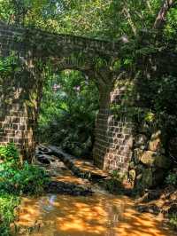 🌴 Sir Seewoosagur Ramgoolam Botanical Garden – Mauritius’ Green Jewel 🌴