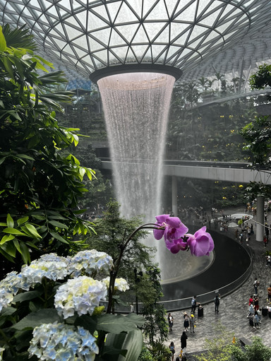 チャンギ空港のジュエルレイン・ボルテックス | Trip.com シンガポール