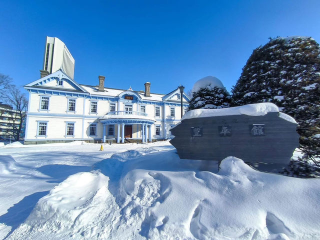 Snow, Soup, and Solo Adventures: My Escape to Sapporo