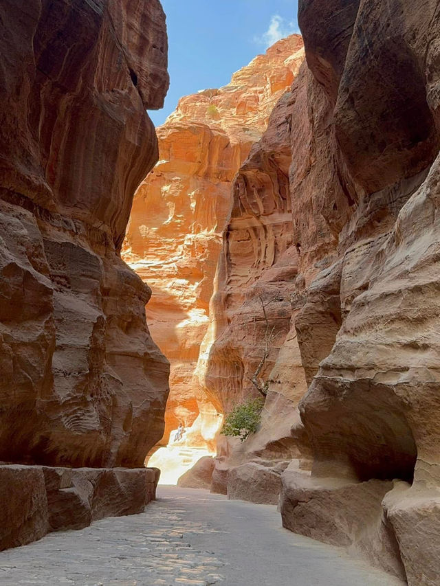 Petra and Wadi Rum Moments 