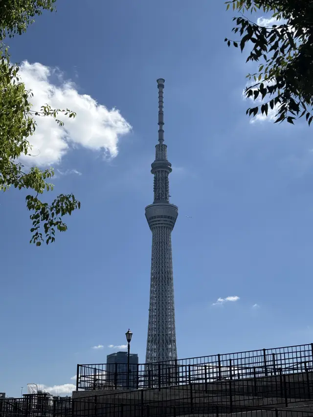 Tokyo Business and Leisure Trip