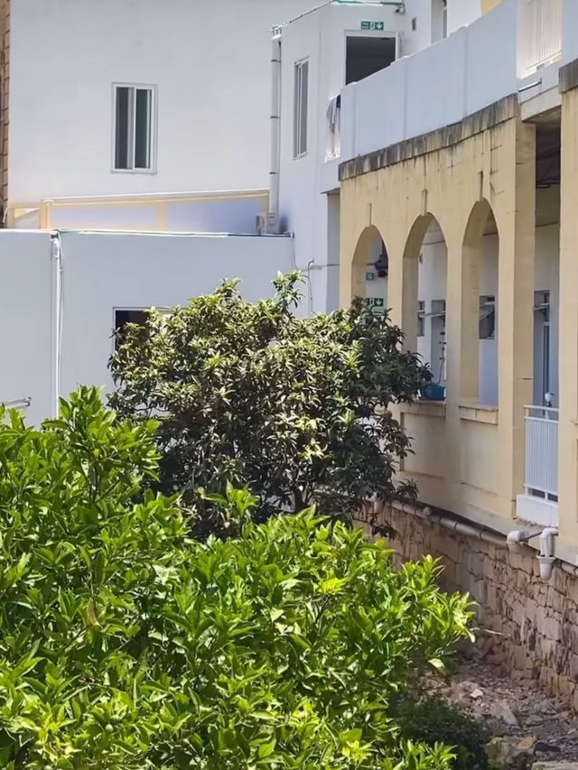 £22 Hostel in the heart of St Julian’s Malta🇲🇹