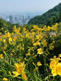 神戶9月最靚戶外自然打卡地