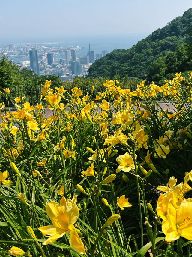 神戶9月最靚戶外自然打卡地