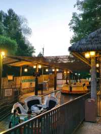 Woodland Thrills🎢