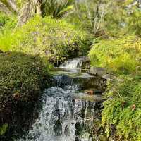 Ayrlies Garden – Auckland’s Subtropical Paradise