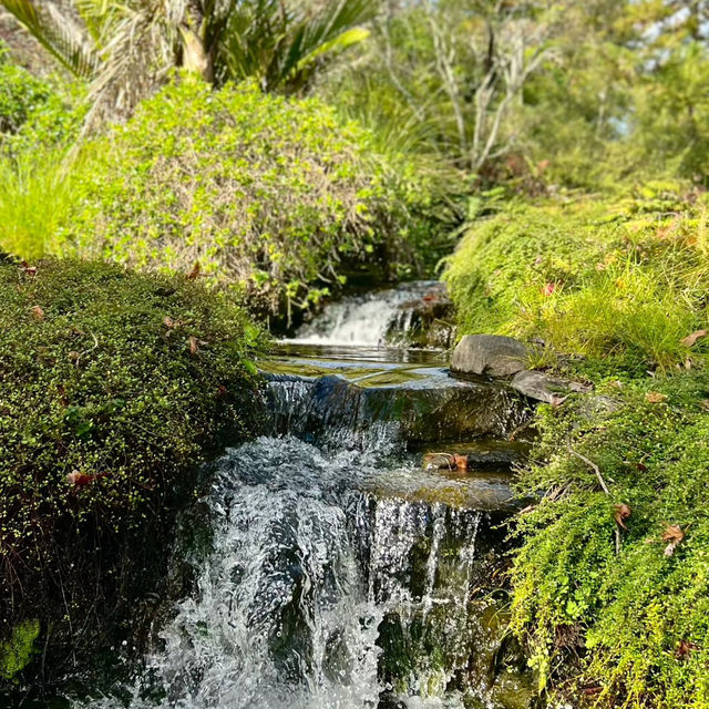 Ayrlies Garden – Auckland’s Subtropical Paradise