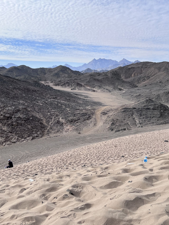 ［埃及旅遊］撒哈拉沙漠🏜️在一望無際的沙漠裡飆沙爬沙丘