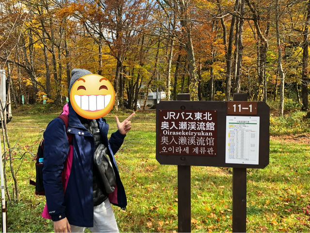 十和田湖與奧入瀨溪的靜謐之美