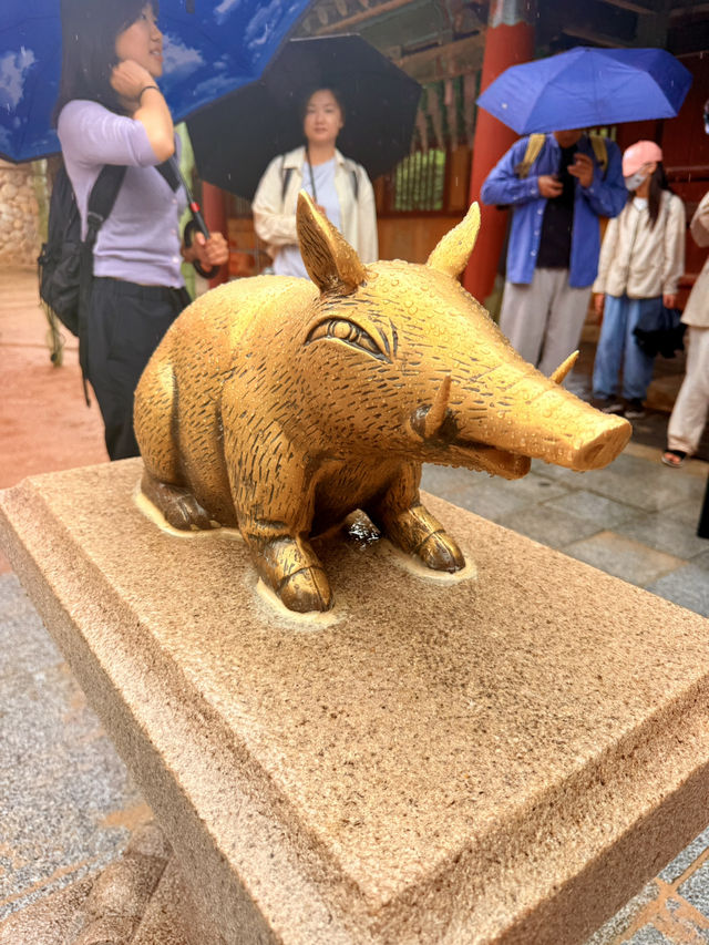 慶州｜金豬傳說佛國寺 快來找藏在牌匾後帶來財運的小豬