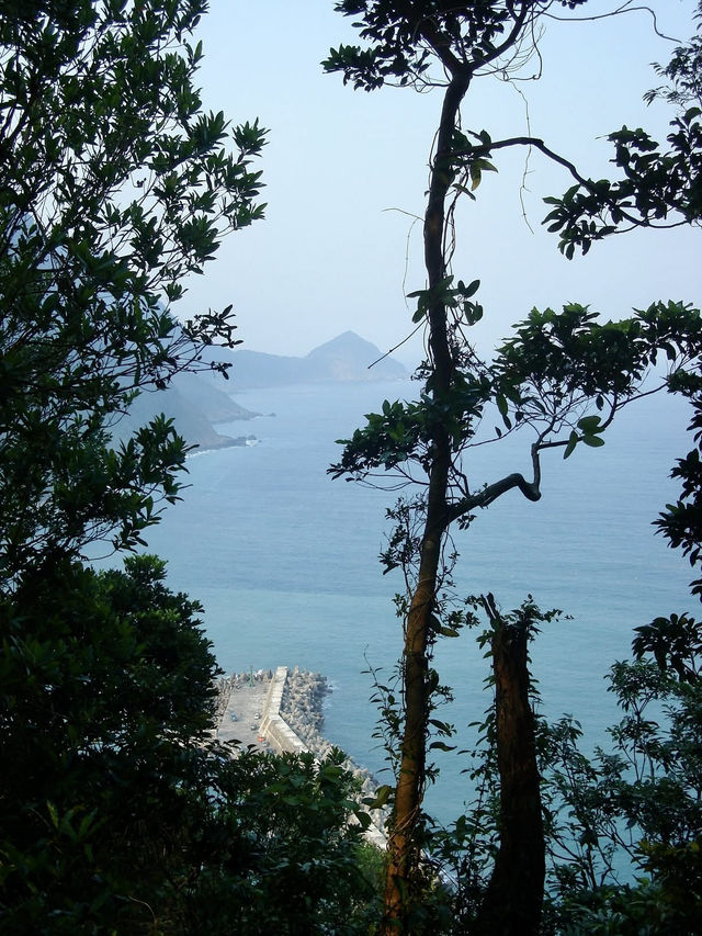⛰️新寮瀑布·太上老君道教總廟：自然與人文交織的一日旅程