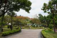 九龍寨城公園｜繁華都市中的歷史綠洲🌿
