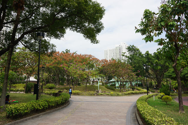 九龍寨城公園｜繁華都市中的歷史綠洲🌿