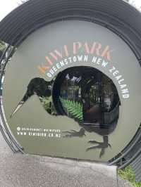 ไปดูนกกีวี่ ไอคอนของนิวซีแลนด์ตัวจริงที่ Kiwi Park