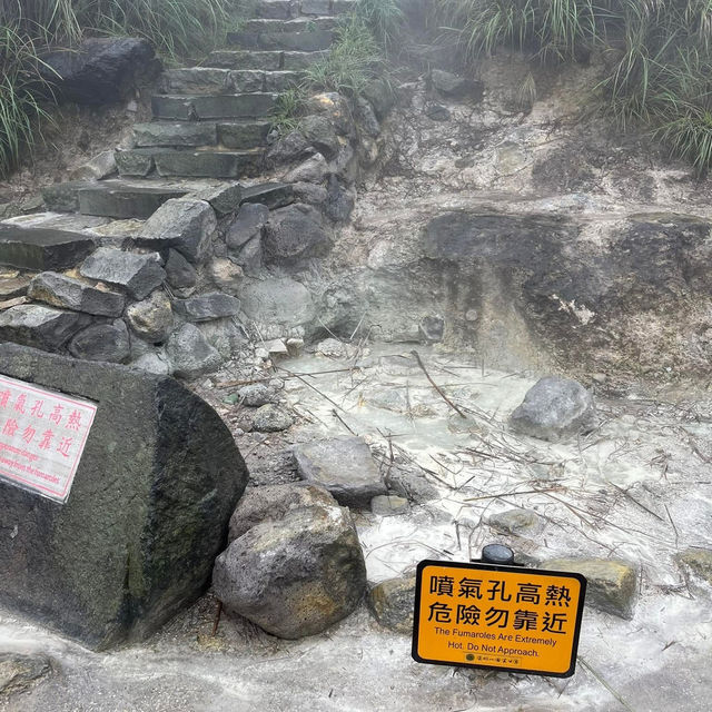 🌋🌸 Yangmingshan – Taipei’s Mountain Escape 🌳✨ 🌋🌸 Yangmingshan – Taipei’s Mountain Escape 🌳✨