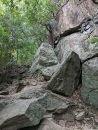 天空の宮殿、シギリヤと絶景のピドゥランガラ⛰️