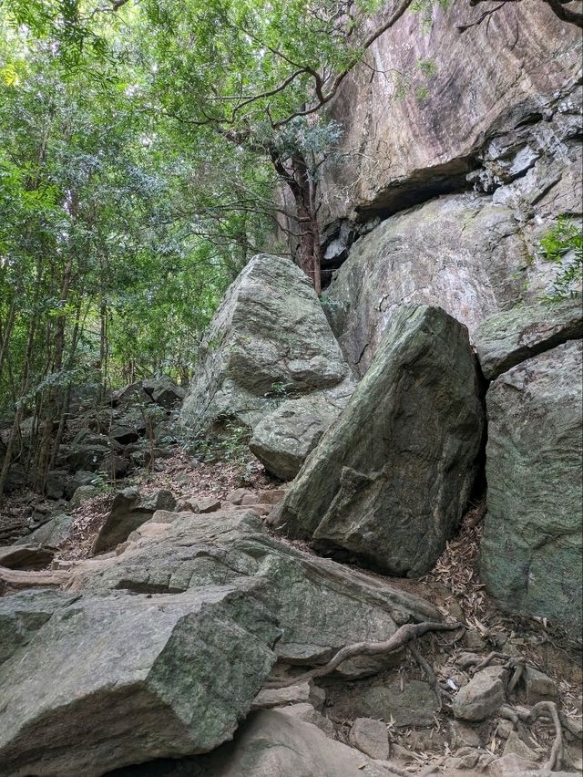天空の宮殿、シギリヤと絶景のピドゥランガラ⛰️