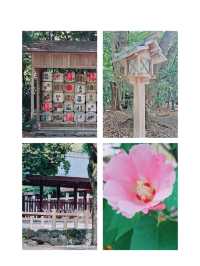 名古屋必見✨日本三大神宮 📍熱田神宮