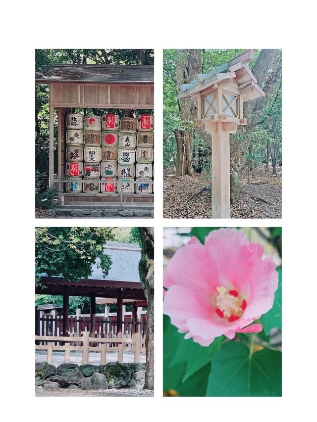 名古屋必見✨日本三大神宮 📍熱田神宮