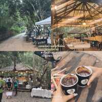 ทริปเชียงใหม่ 3 วัน 2 คืน ✨