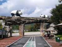 Toilet Travel & Nature Wonders: Changsha, Zhangjiajie, & Fenghuang Adventure 🌄🚽