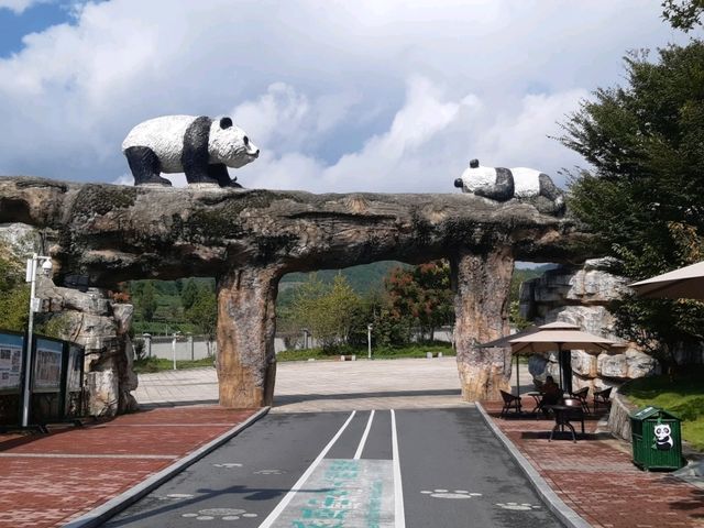 Toilet Travel & Nature Wonders: Changsha, Zhangjiajie, & Fenghuang Adventure 🌄🚽