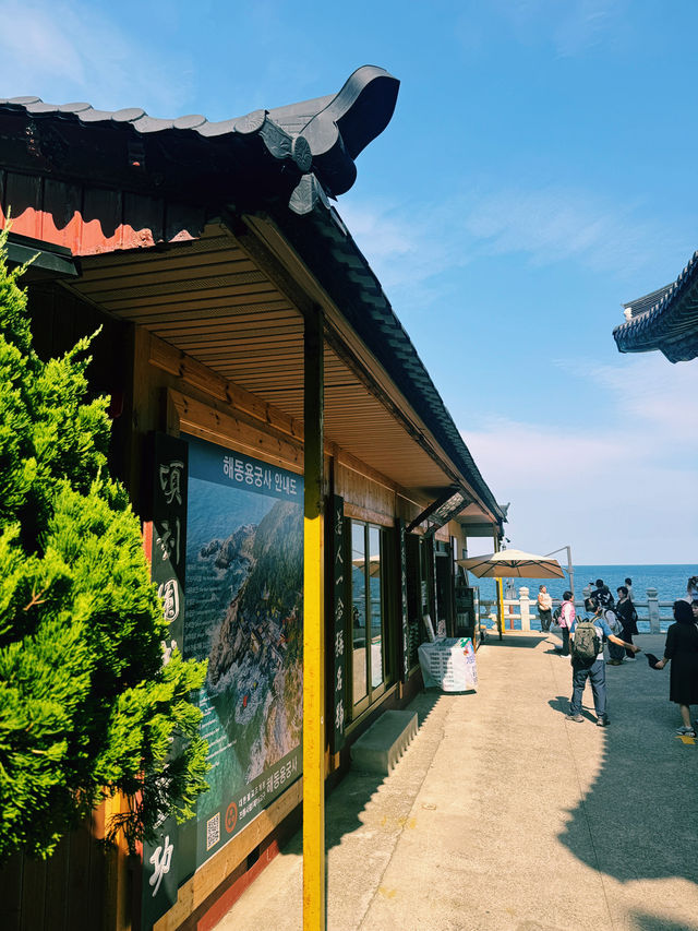 부산 해동용궁사, 가을바다와 함께한 야외데이트