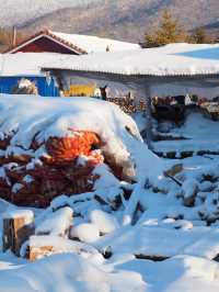 China Snow Valley (中国雪谷) : สวรรค์แห่งหิมะขาวโพลน