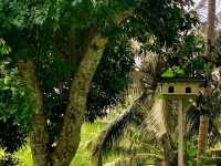 Agnes Newton Keith Home - Malaysia 