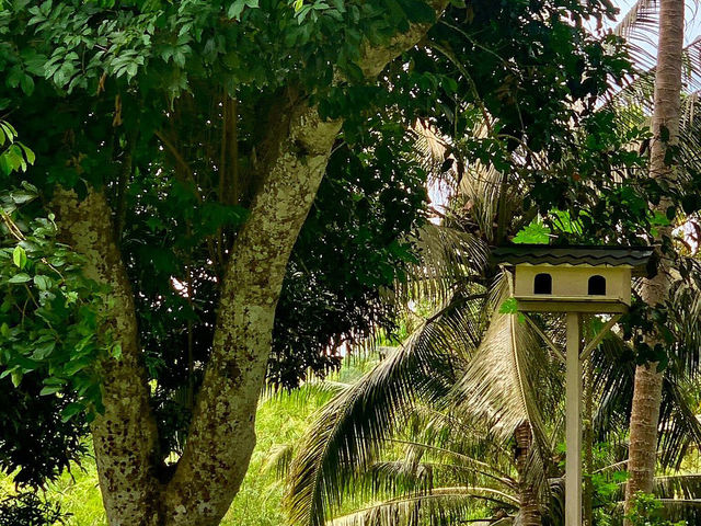 Agnes Newton Keith Home - Malaysia 