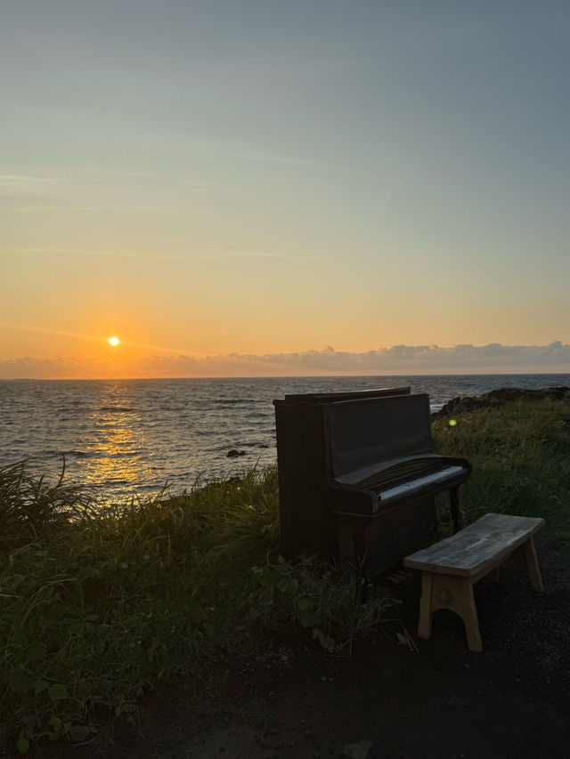 🐬제주도 모알보알 구좌 오션뷰 카페 추천⛵️