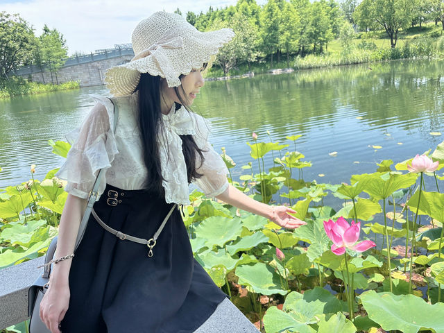  上海世博文化公園「申園」：都市中的江南園林瑰寶