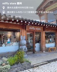 ＼ 慶州で雑貨屋さん巡り／